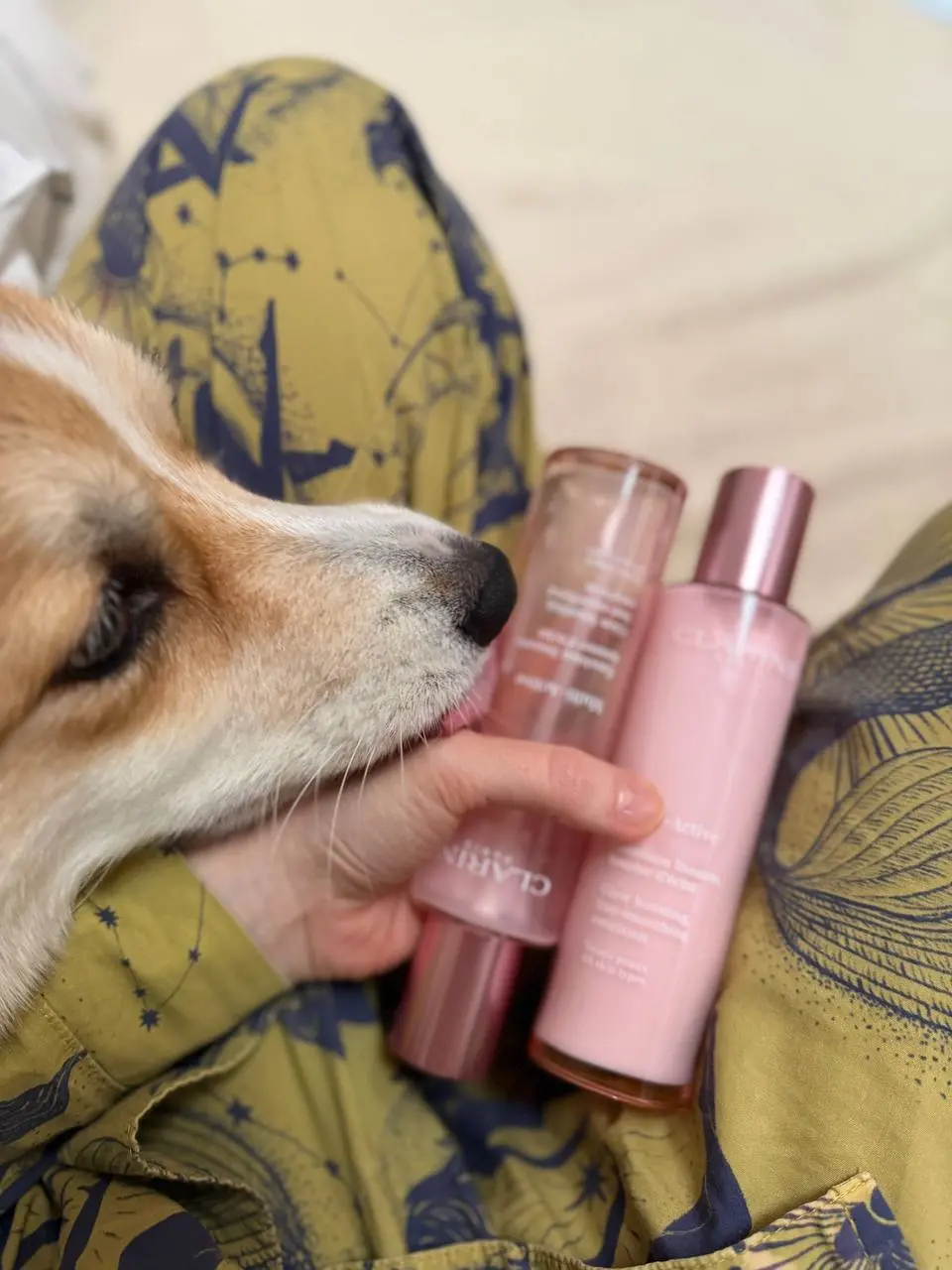 Мой пятый или уже шестой флакон Clarins Multi-Active Emulsion 🤍
Есть средства, которые красиво выглядят на полке. Есть средства, которые пробуешь один раз и забываешь | Сетка — социальная сеть от hh.ru