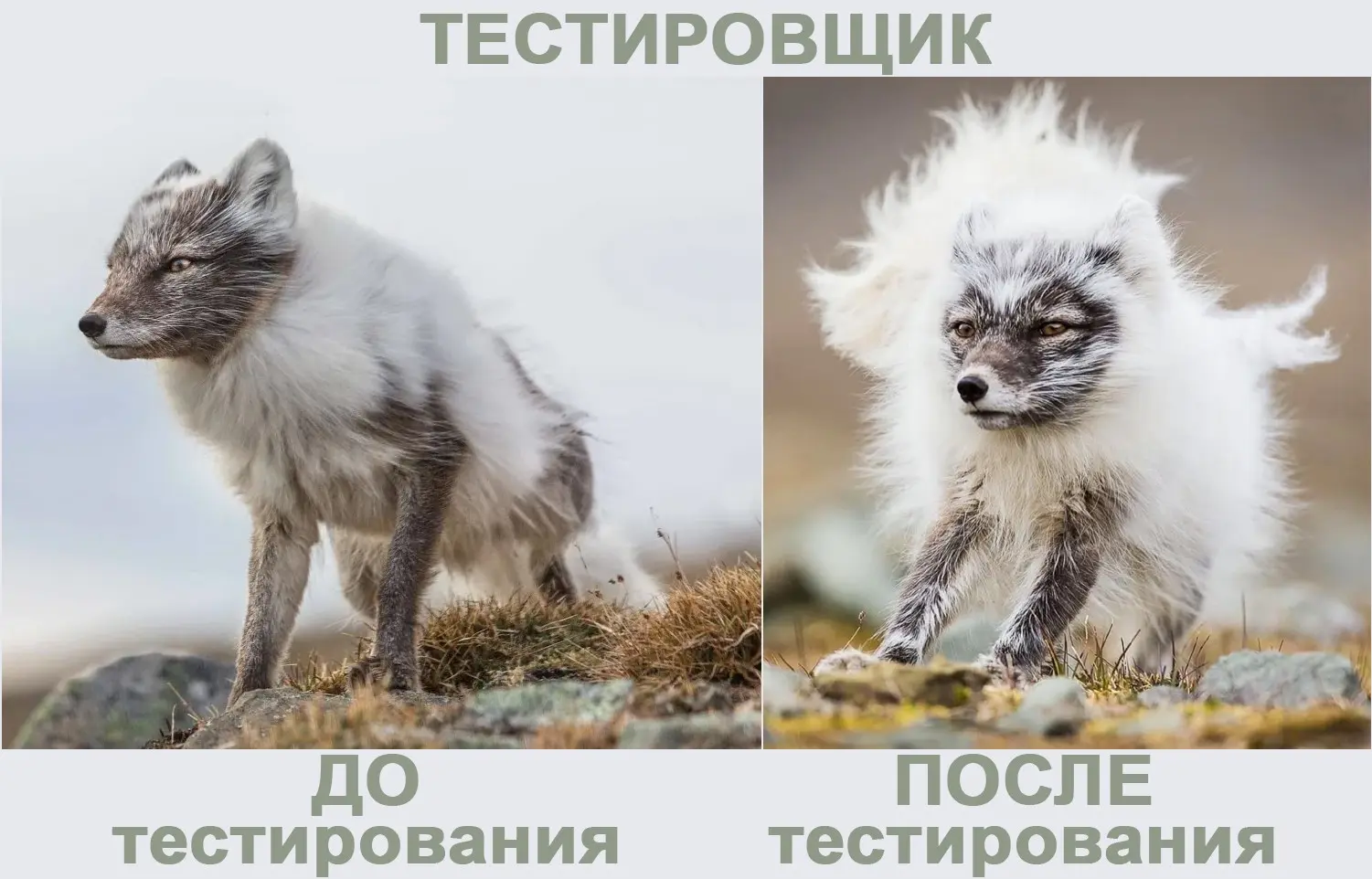 ЖИЗНЕННО | Сетка — социальная сеть от hh.ru