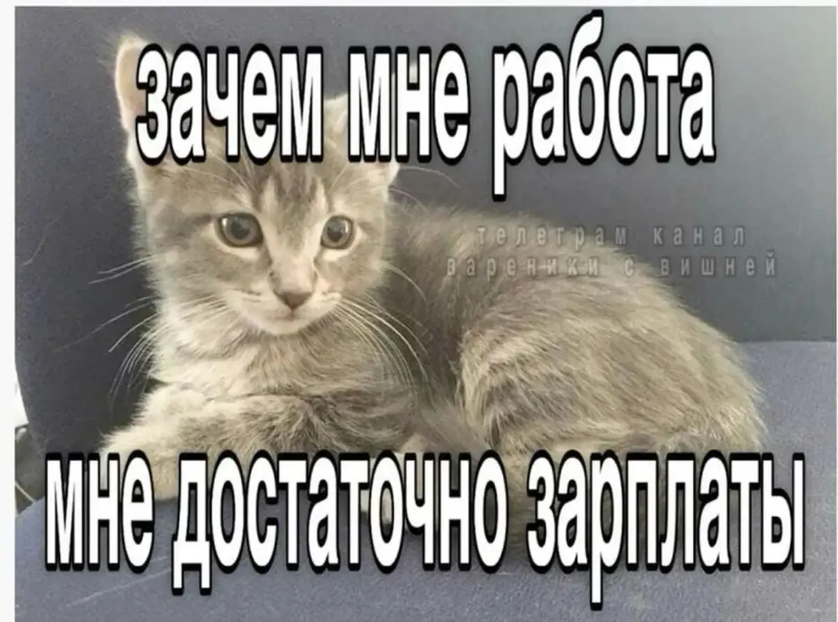 Почему мы больше не берём в штат СОО и прочих руководителей | Сетка — социальная сеть от hh.ru