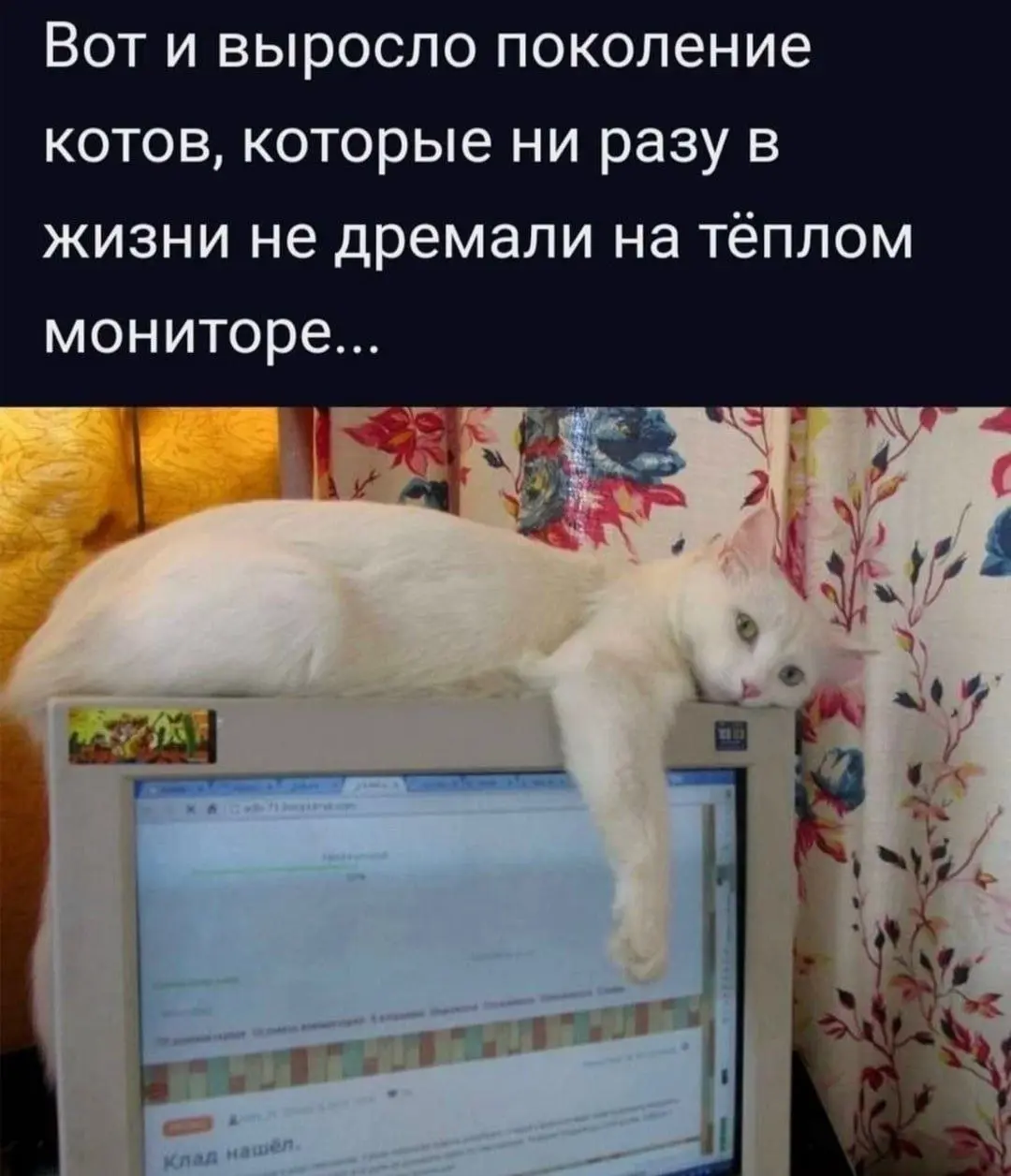 #ПятничныйЮмор #Datanomics | Сетка — социальная сеть от hh.ru