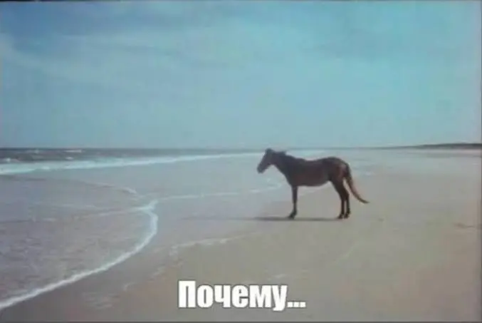 Почему
Хороших выходных💊
Скидывайте свои мемы⬇️
#чащесмейся | Сетка — социальная сеть от hh.ru