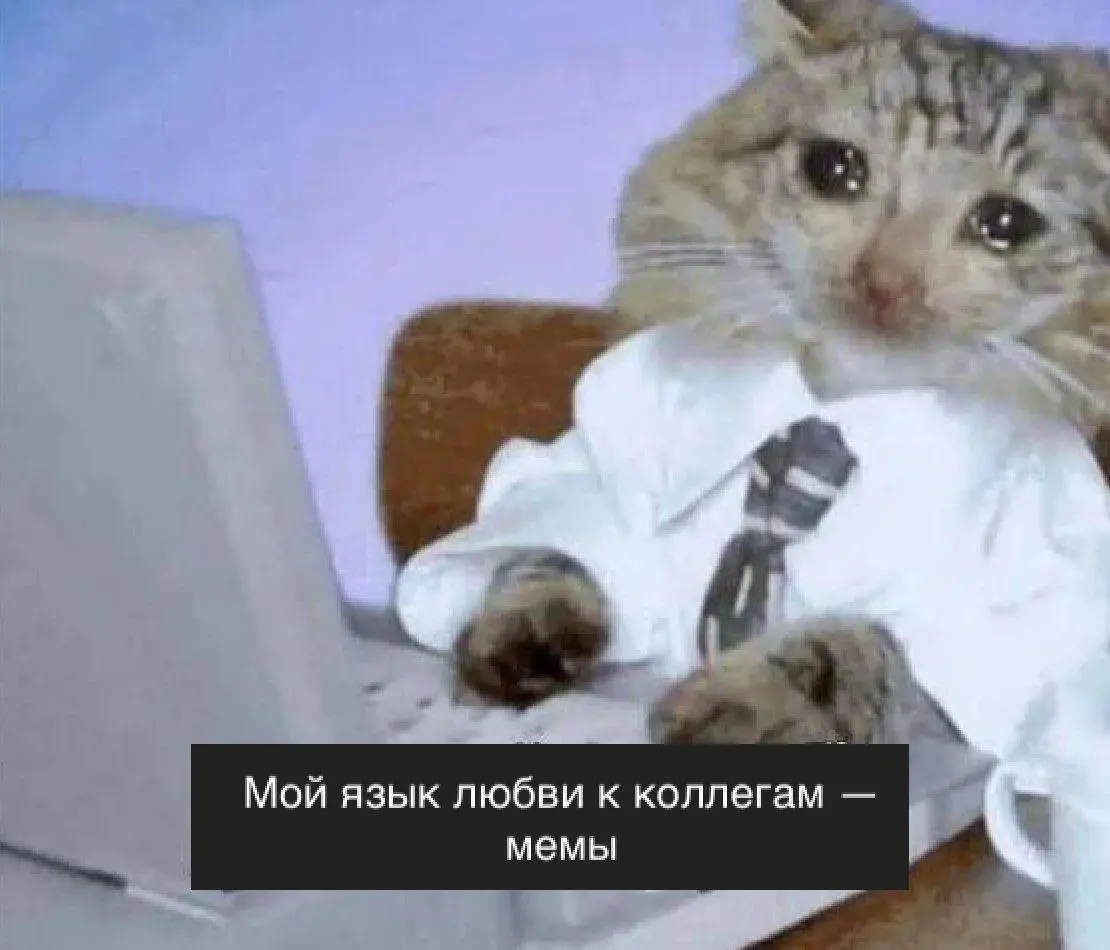Делитесь любовью и мемами в комментариях к этому посту 💙
(просим соблюдать культуру речи, а то нас закроют 😜)
#Интересное | Сетка — социальная сеть от hh.ru