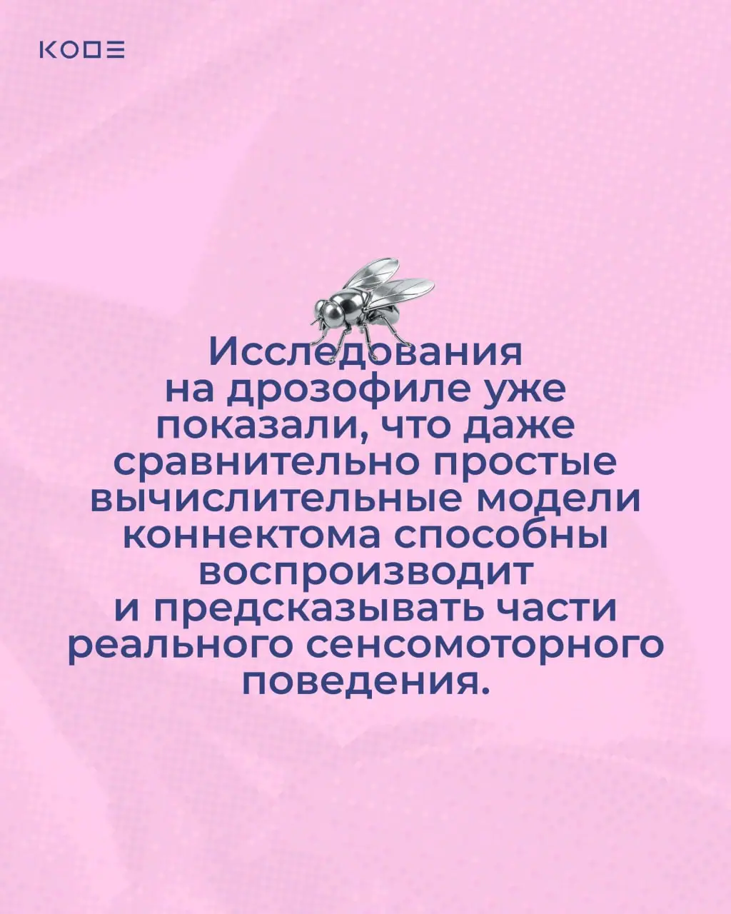 Муху научили парковать машину, смотреть тикток и резать донер 😳
Разбираемся, откуда взялся «мушиный ИИ», что на самом деле происходит внутри этих экспериментов и почему приколы в науке — это хорошо | Сетка — социальная сеть от hh.ru