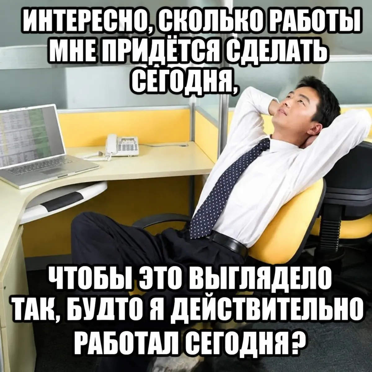 Пусть все у всех получится 🤞🏻😸 | Сетка — социальная сеть от hh.ru