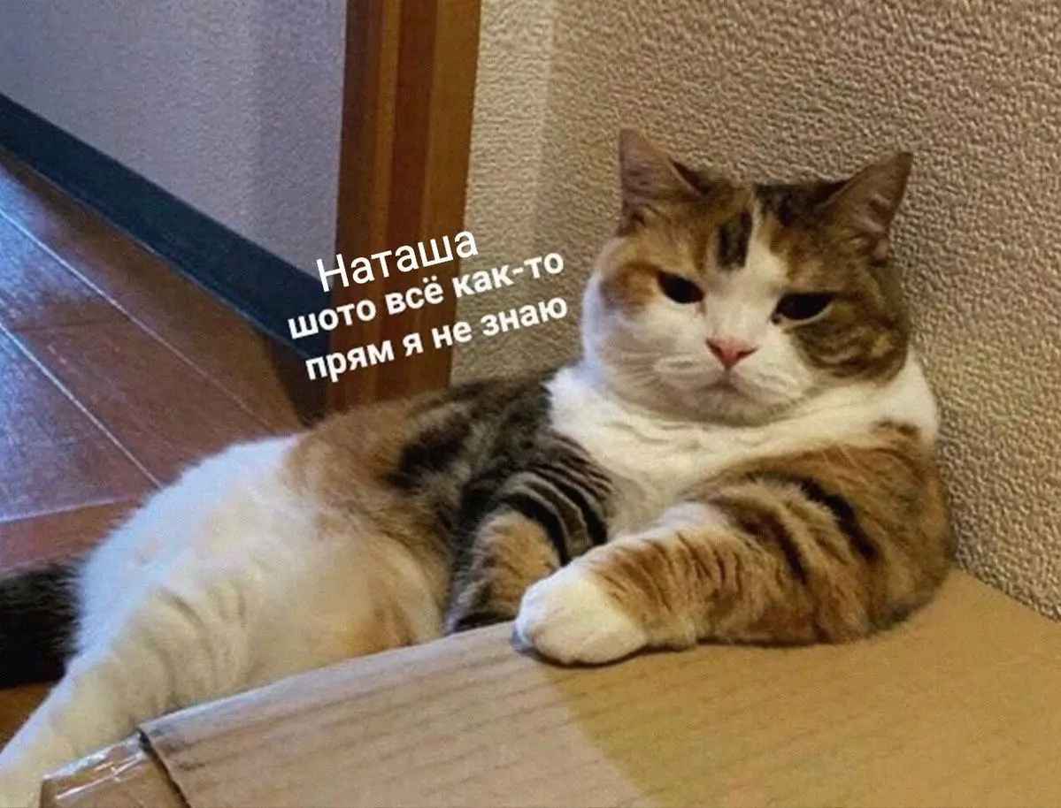Начните печатать заголовок.. | Сетка — социальная сеть от hh.ru