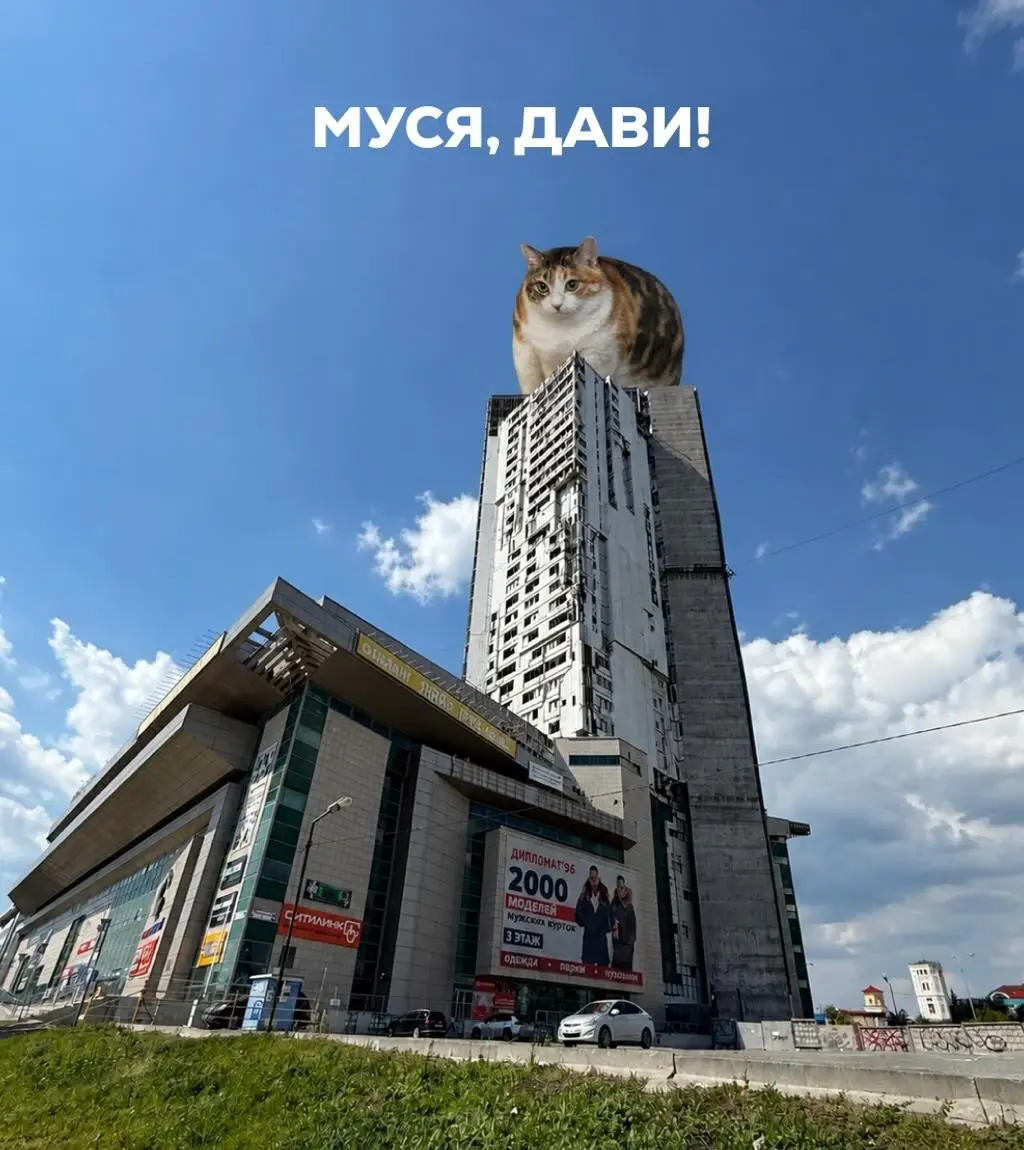 Вайб пятницы би лайк | Сетка — социальная сеть от hh.ru
