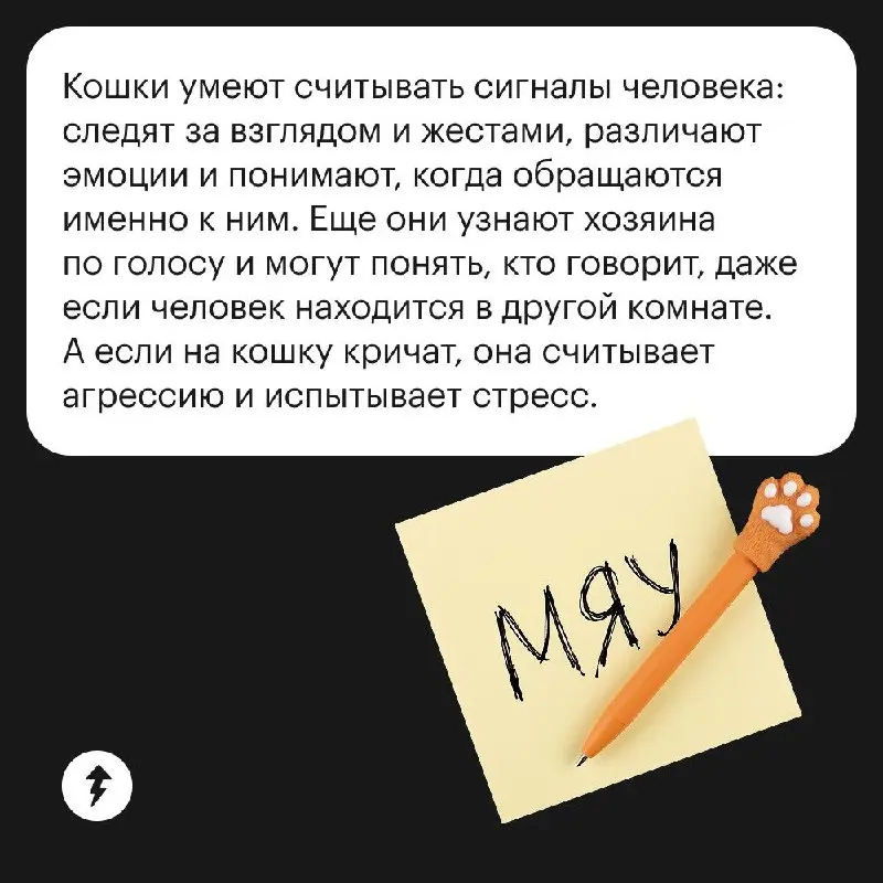 🙋🏻‍♀️ Мяу, мяу, мяу-мяу-мяу. Смотри, Пушинка, я говорю на твоем языке!
🐈 Зачем, если я тебя и так понимаю…
⚡️ Как общаться и играть с котиками
#мяу | Сетка — социальная сеть от hh.ru