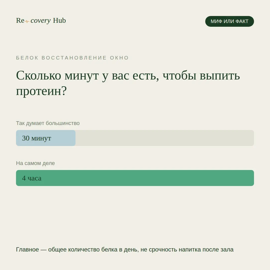 Слышал много раз: чтобы мышцы выросли, срочно нужно выпить протеиновый шейк максимум через 30 минут после тренировки. Люди бегут в раздевалку, глотают добавку в спешке, боясь упустить «окно» | Сетка — социальная сеть от hh.ru
