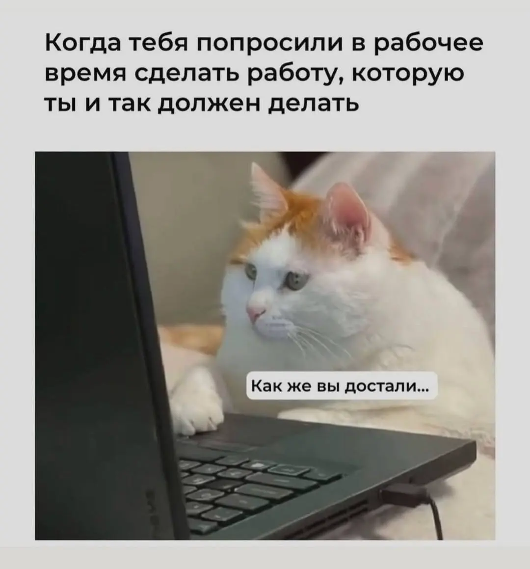 Рубрика Вопрос-Ответ 💥 | Сетка — социальная сеть от hh.ru