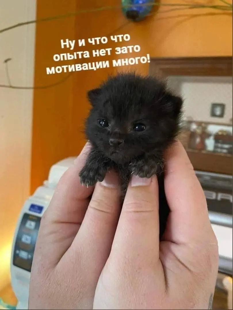 Готов с головой уйти в работу 😂
БЛОГ В ТГ / БЛОГ В MAX
#Юмор #Коты
В этом посте были ссылки, но мы их удалили по правилам Сетки | Сетка — социальная сеть от hh.ru