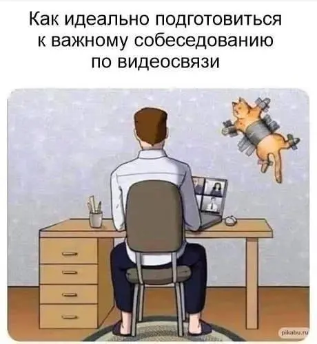 Вынужденная мера 😂
БЛОГ В ТГ / БЛОГ В MAX
#Юмор #Коты
В этом посте были ссылки, но мы их удалили по правилам Сетки | Сетка — социальная сеть от hh.ru