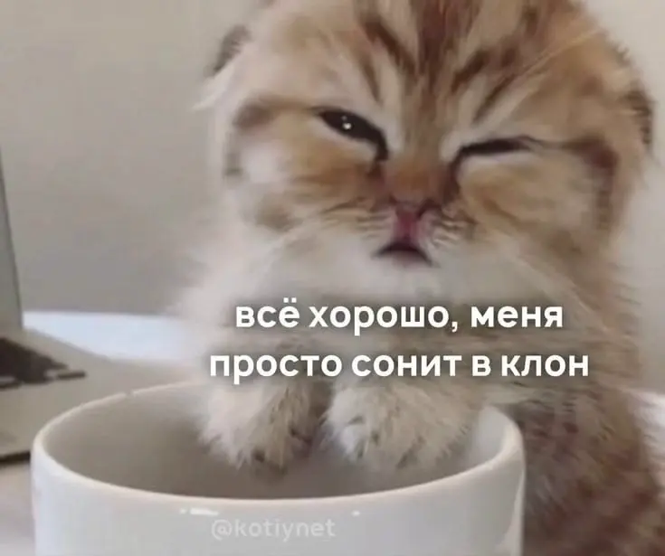 Сонное утро | Сетка — социальная сеть от hh.ru