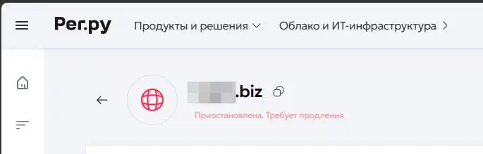 Очень неприятная ситуация случилась с моим Заказчиком.
У неё сайт и соответственно разработанный мной сервис привязан к домену в зоне .biz
Этот домен просто перестал работать | Сетка — социальная сеть от hh.ru