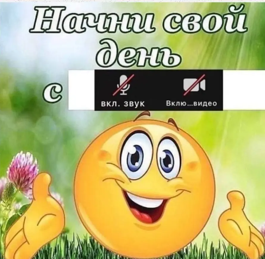 Пятидневка-офис после 4 лет удаленки: клиническая смерть? | Сетка — социальная сеть от hh.ru