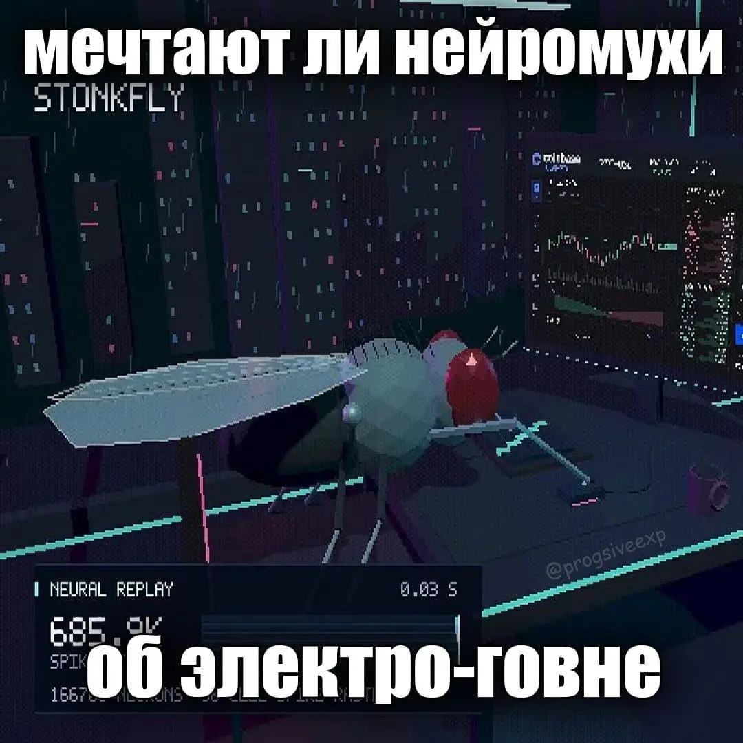 Ну что, досматриваем мемы про муху. Похоже, следующим героем будет рыбка данио-рерио | Сетка — социальная сеть от hh.ru