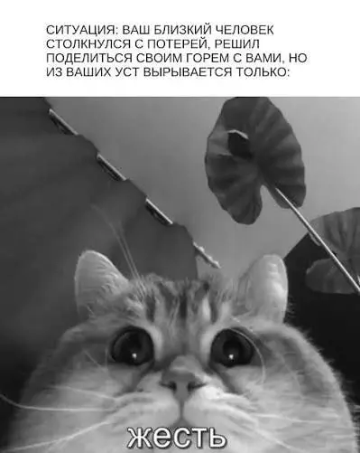 Если вы отписываетесь из-за мемов...то я даже не знаю
Но есть и другие в честь субботы!
По тематике EQ (Эмоционального интеллекта) — одна из завершающих тем в рамках программы обучения руководителей | Сетка — социальная сеть от hh.ru