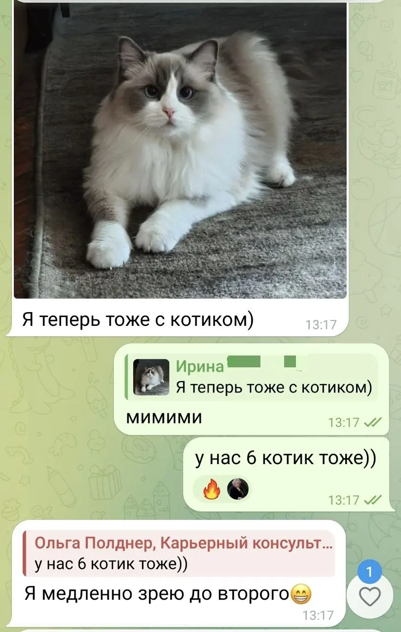 Переписка с любимым клиентом ❤️
#Коты | Сетка — социальная сеть от hh.ru