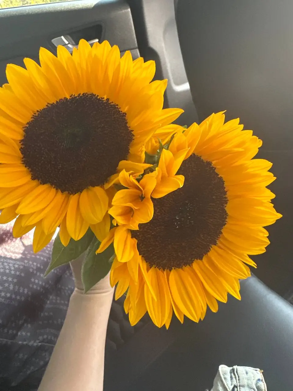 16.09.26 ровно 6 месяцев как папы не стало🥺
Сегодня решили с дочерью проведать его.
Купили два ярких подсолнуха и поехали. Что сказать, дочери было тяжело, она у него в «гостях» была первый раз | Сетка — социальная сеть от hh.ru