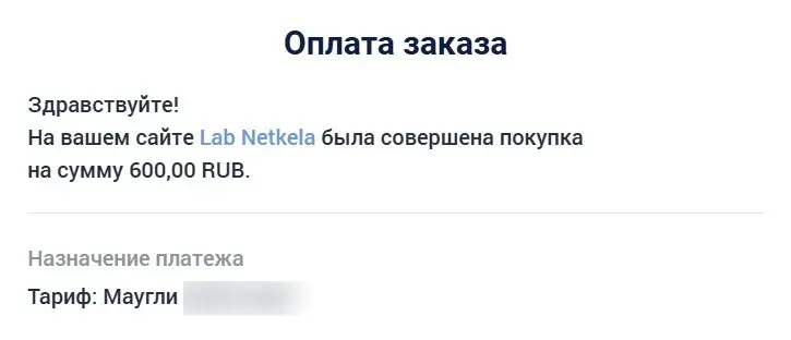 За 17 лет в интернете я перепробовал, кажется, вообще все | Сетка — социальная сеть от hh.ru