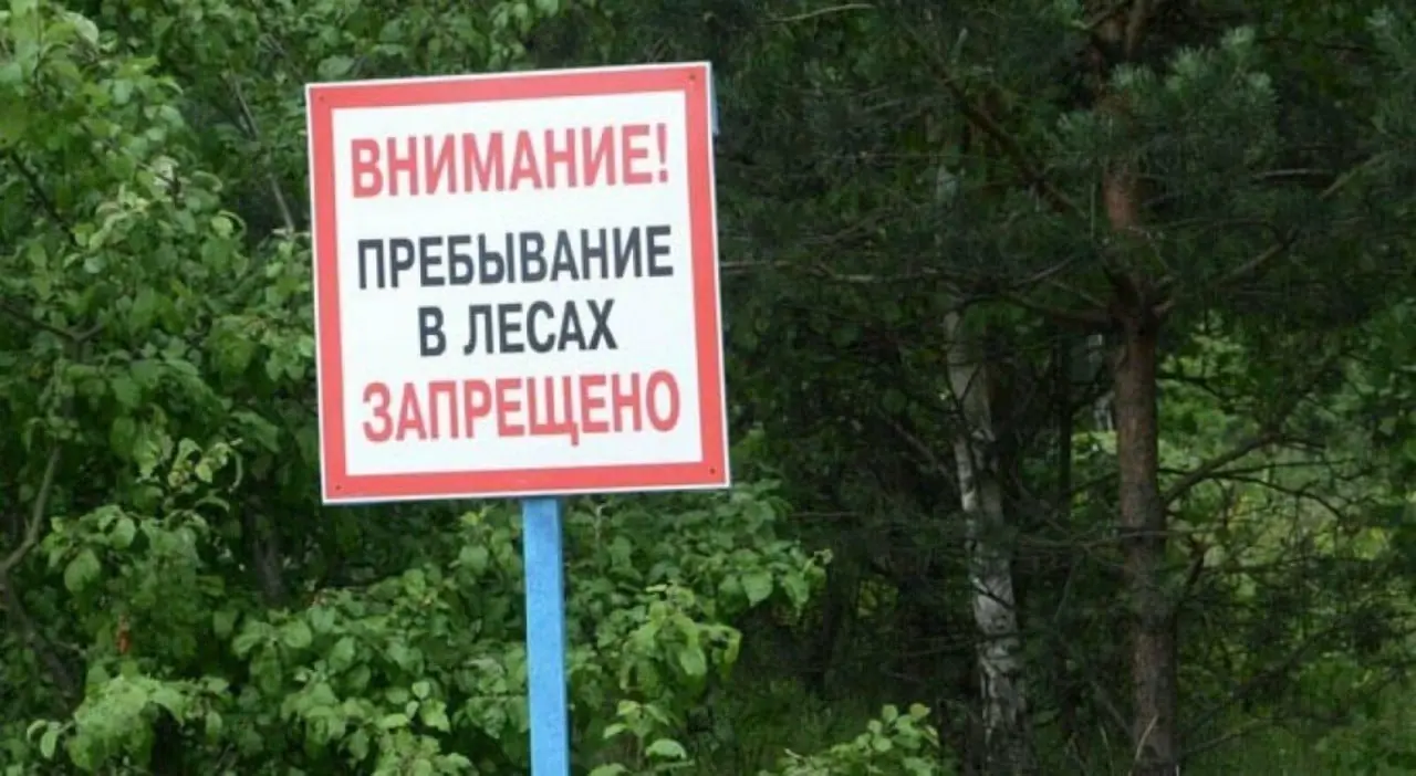 🚫 Ставропольцев просят не ходить в лес
До 30 сентября в 12 лесничествах края ограничили пребывание людей из-за особого противопожарного режима | Сетка — социальная сеть от hh.ru