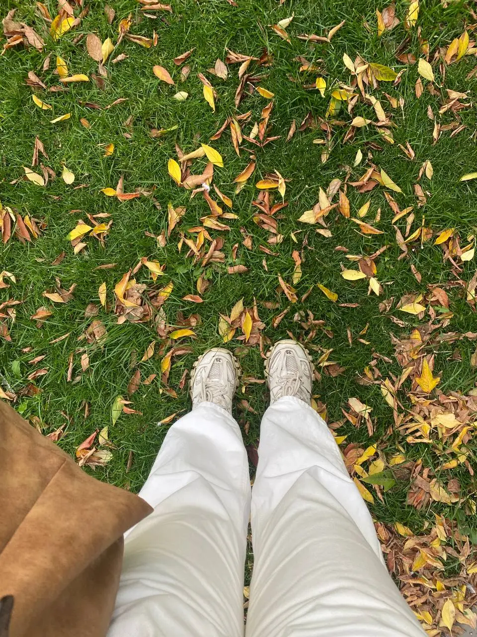 🍂🍁🥰 | Сетка — социальная сеть от hh.ru
