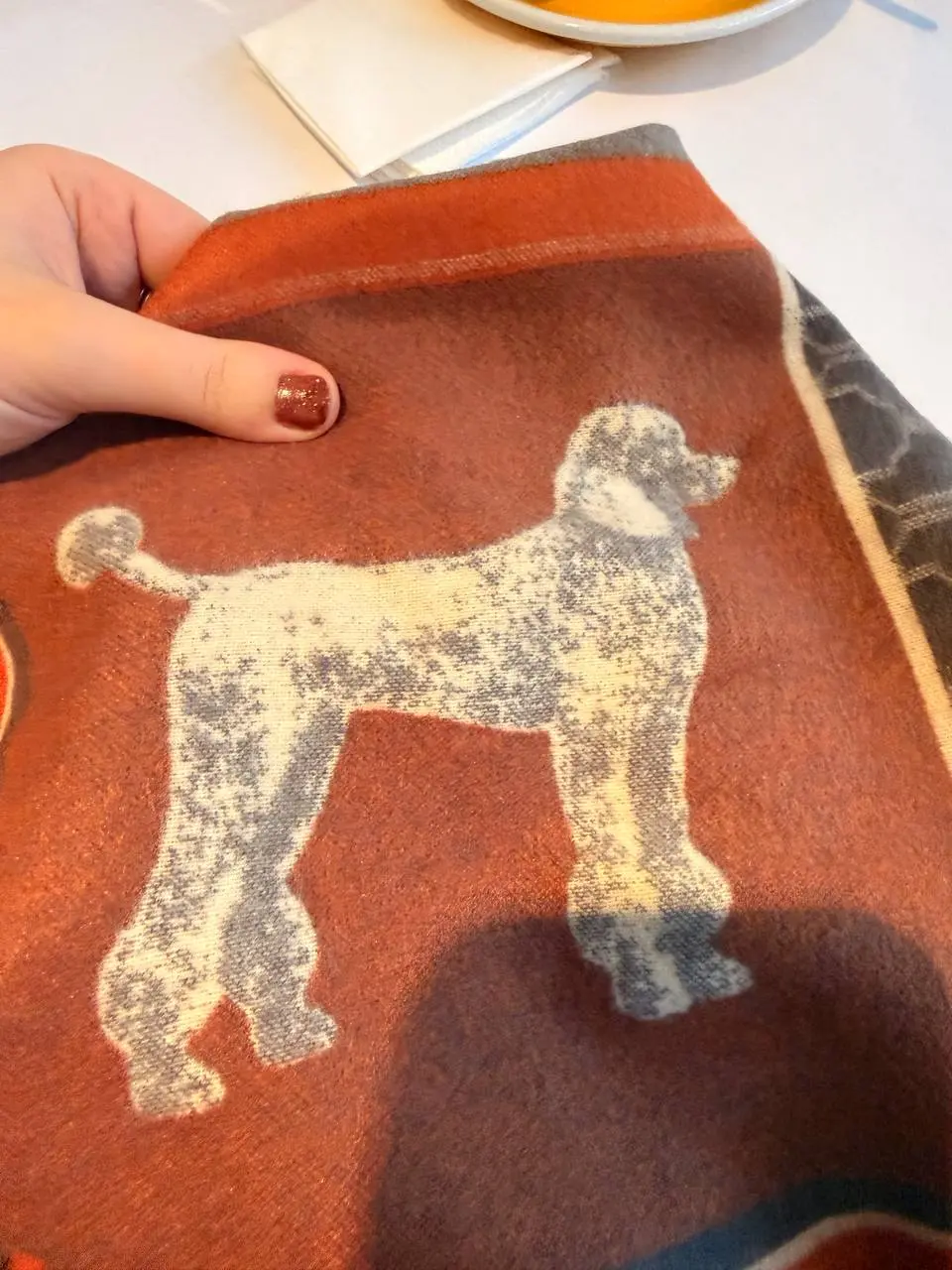 Сегодня меня преследуют пудели ахахах 🐩
В последнее время я почему-то сместилась в сторис в инсту, хотя раньше я туда ничего не выкладывала, а сейчас больше, чем в сторис здесь, интересно, как резко б... | Сетка — социальная сеть от hh.ru