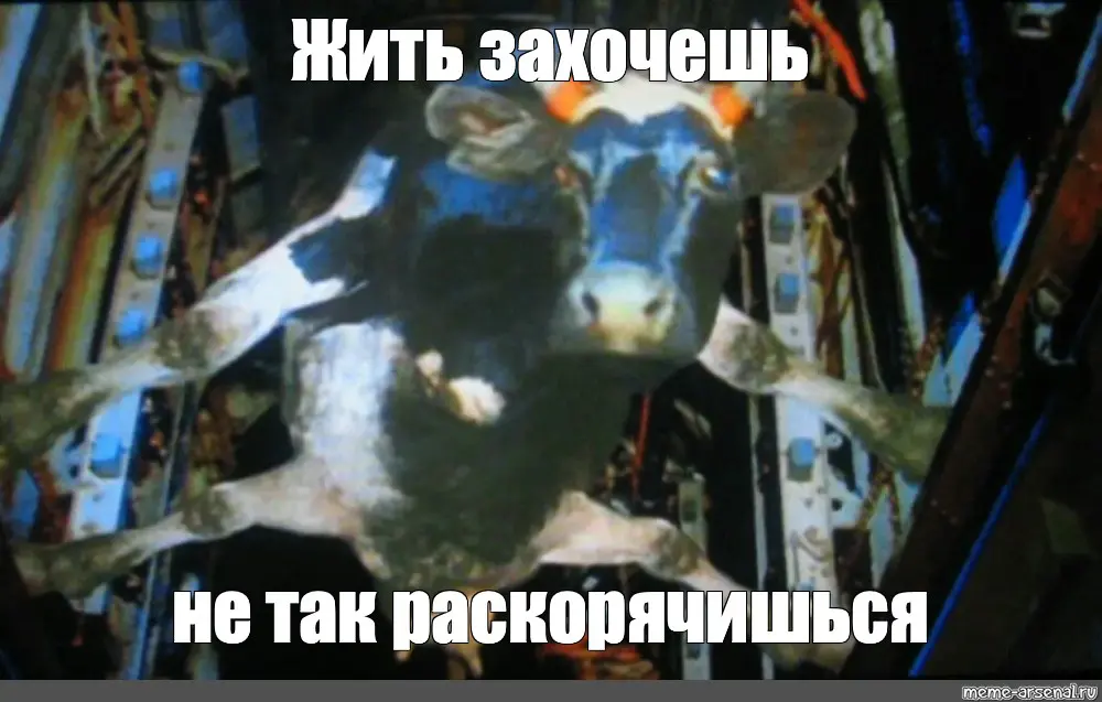 Снова нахожусь в смешанных чувствах. | Сетка — социальная сеть от hh.ru