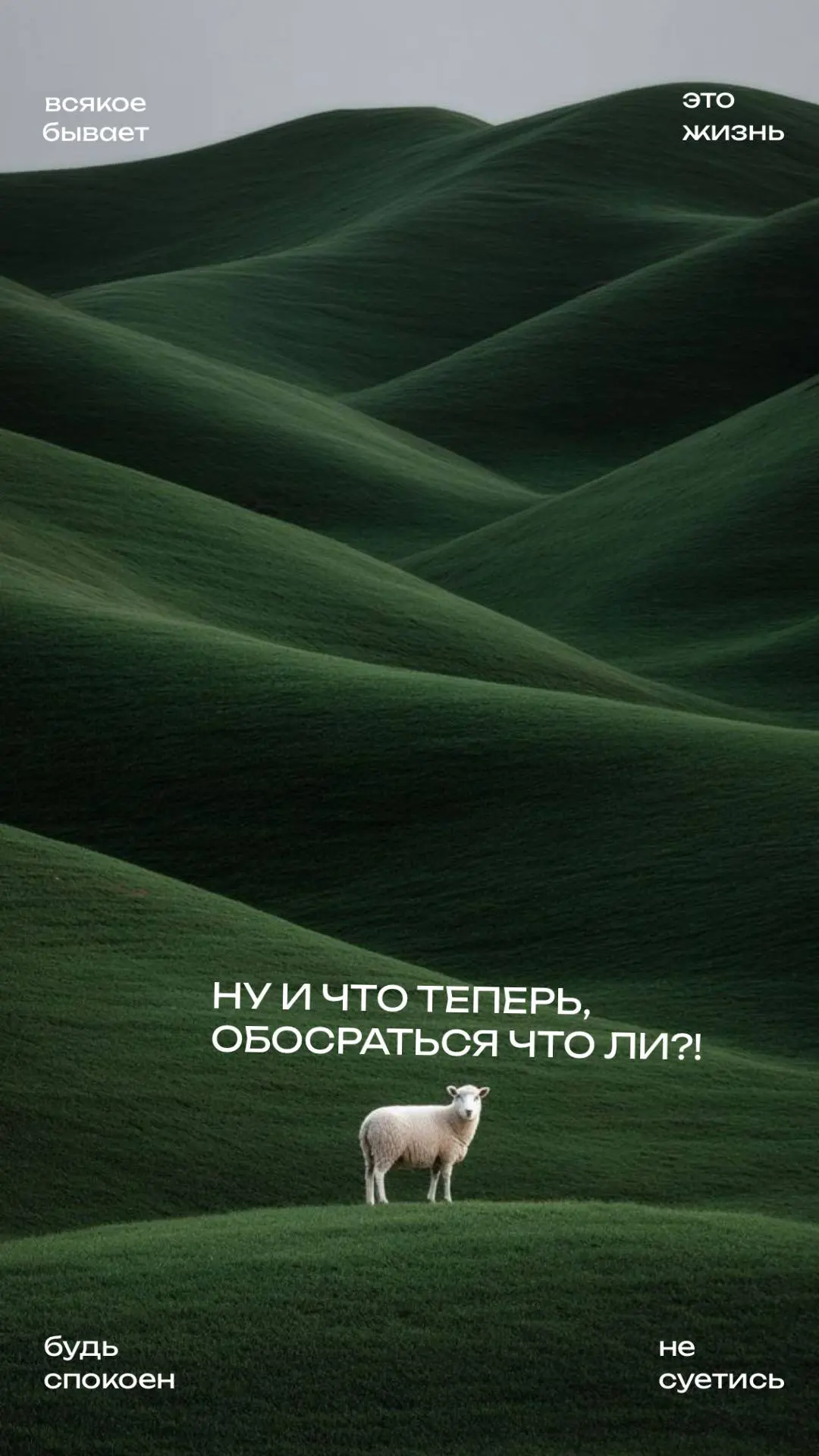 «Лестничный ум», или почему лучшие ответы приходят в спину обидчику
У французов для этого есть точный термин « l'esprit de l'escalier» | Сетка — социальная сеть от hh.ru