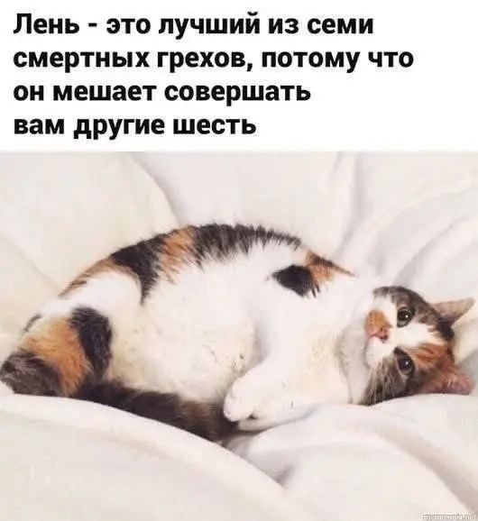 Мы в безопасности 😂
От любимого клиента Елены ❤️
БЛОГ В ТГ / БЛОГ В MAX
#Юмор
В этом посте были ссылки, но мы их удалили по правилам Сетки | Сетка — социальная сеть от hh.ru