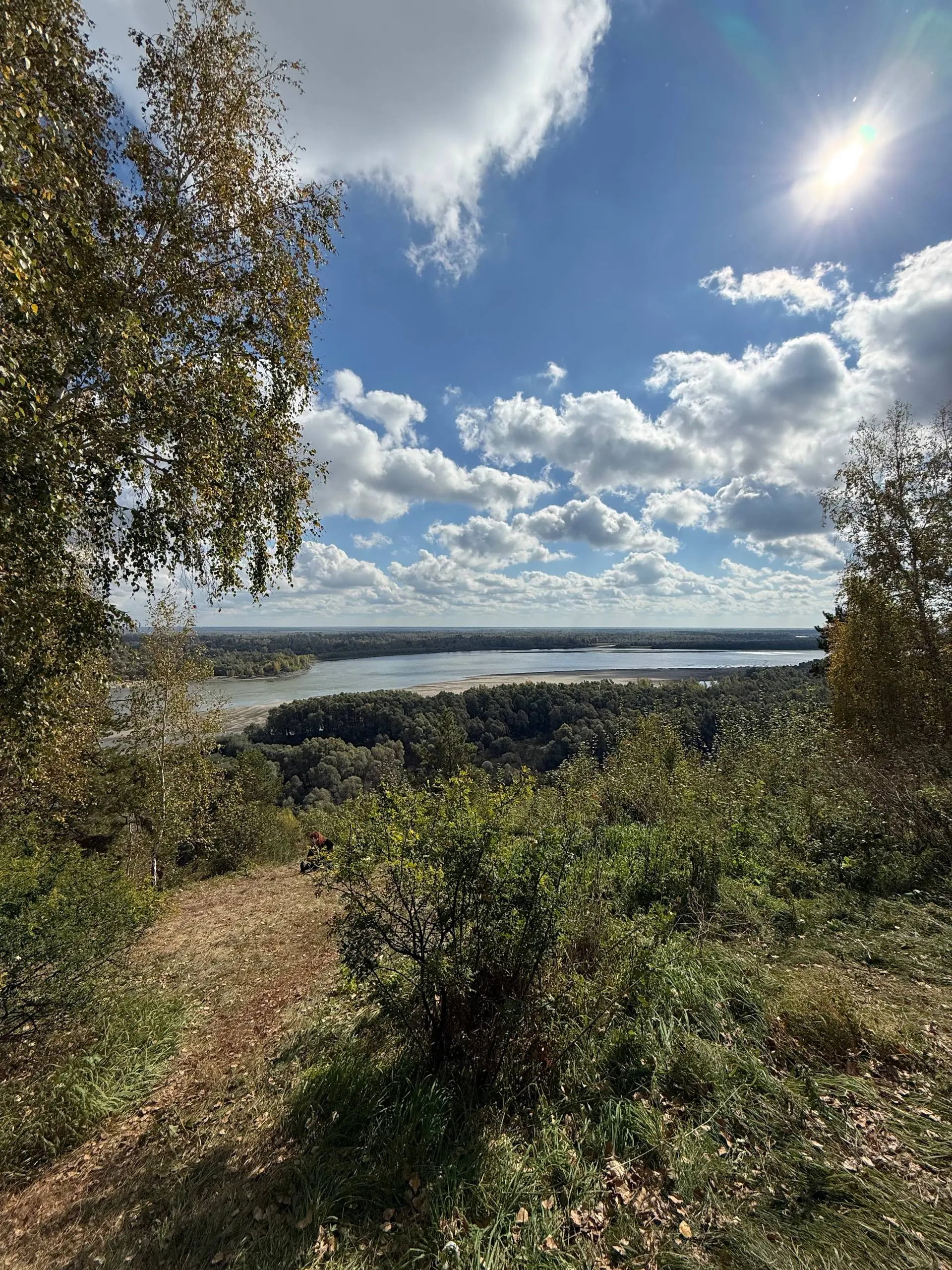НИИ садоводства Сибири имени М.А. Лисавенко — Барнаульский Дендрарий 🍂 | Сетка — социальная сеть от hh.ru