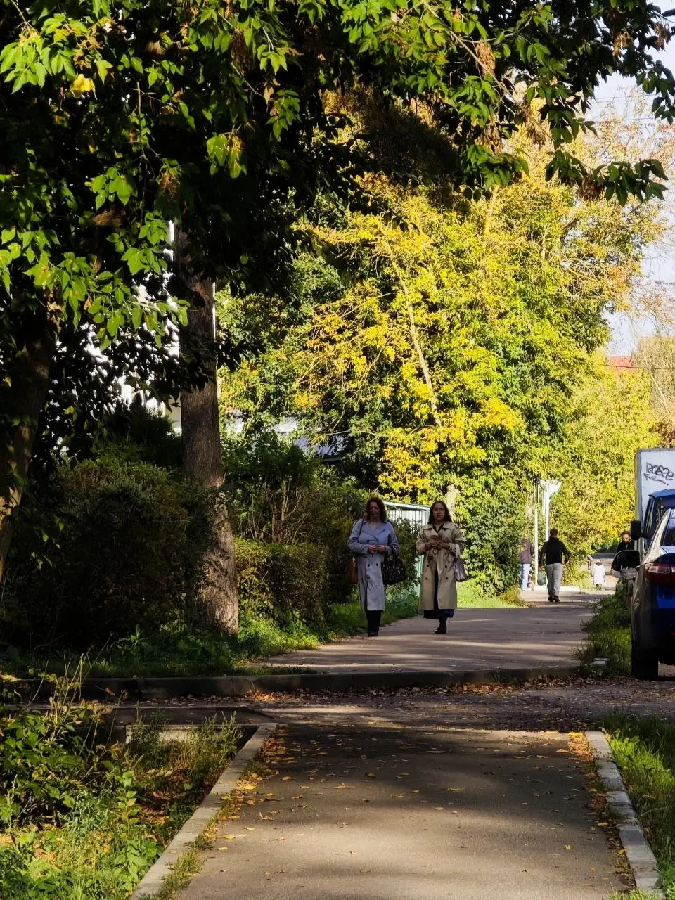 #улицапетровичева
Давно не было этой рубрики на этом канале, но, поддерживающие меня в запретограмме знают, что фото появляются в моем аккаунте с завидной периодичностью | Сетка — социальная сеть от hh.ru