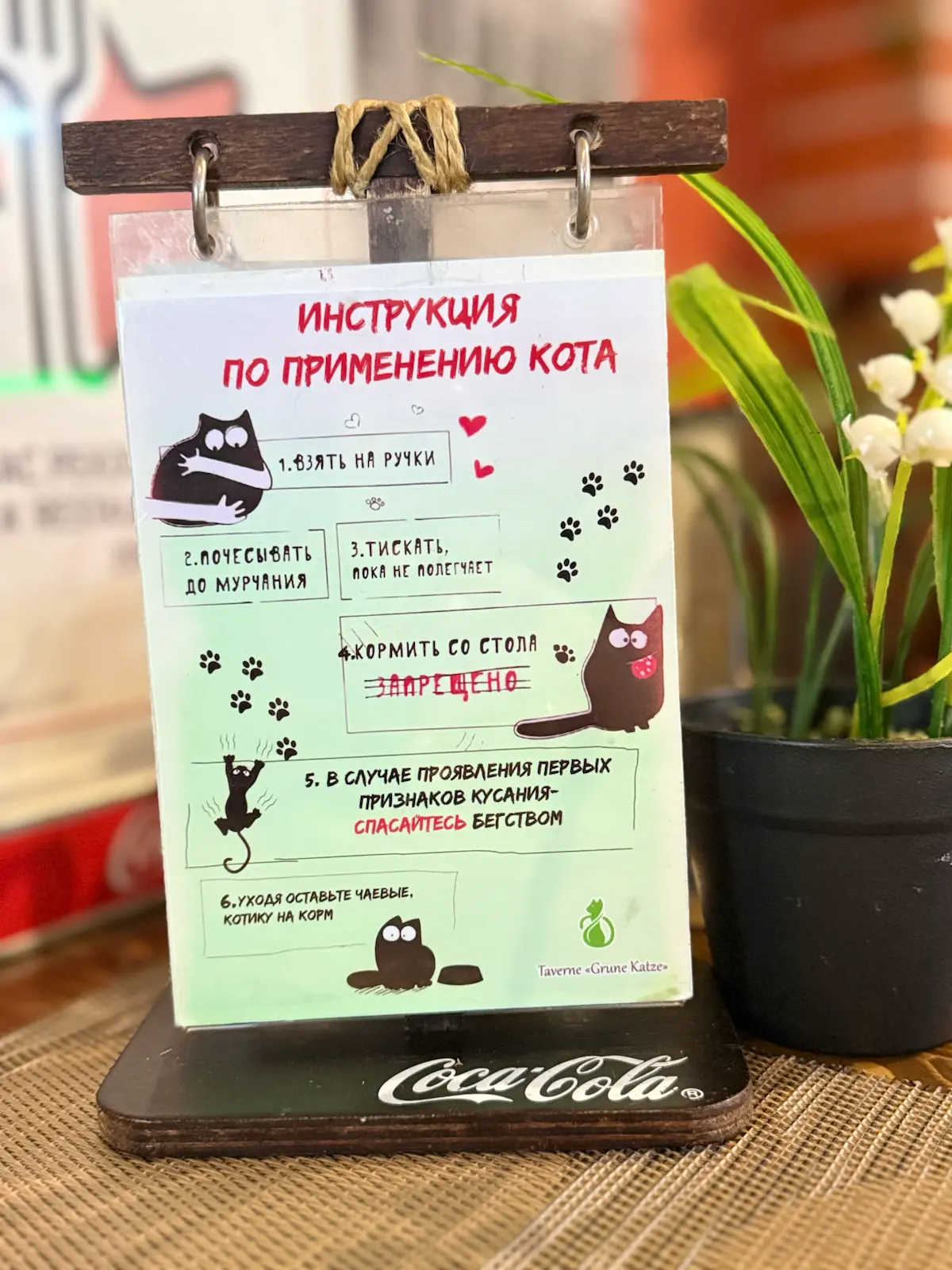Все таки дизайнеры очень милые ребята | Сетка — социальная сеть от hh.ru