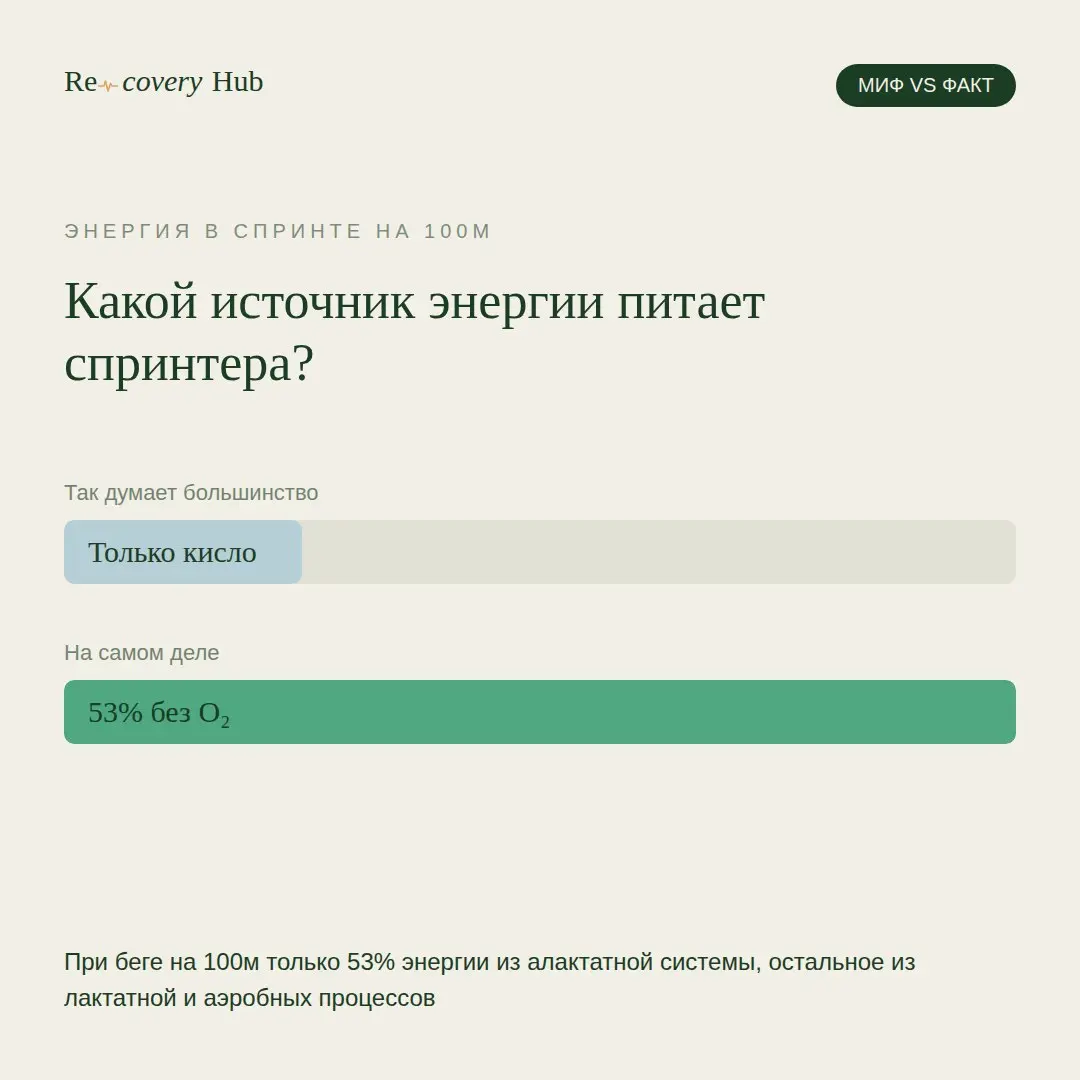 Думаешь, спринт — это чистая аэробная работа? Неправда | Сетка — социальная сеть от hh.ru
