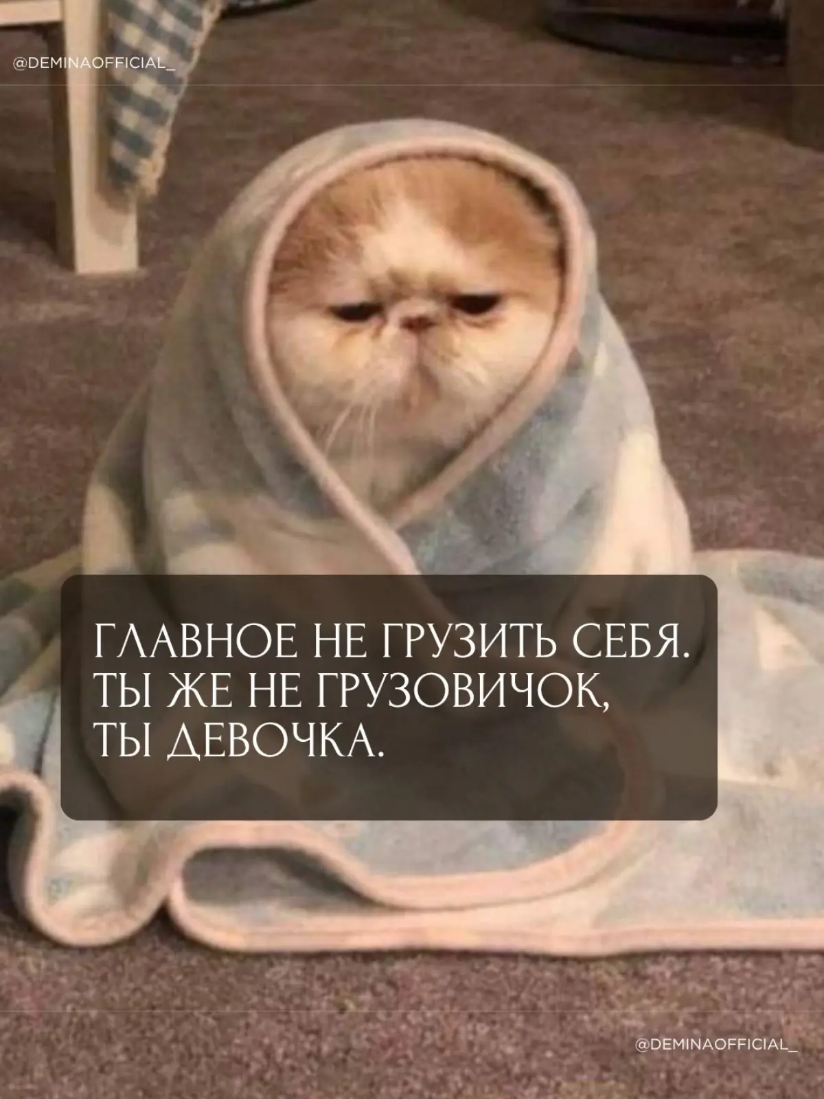 С наступающим, девочки | Сетка — социальная сеть от hh.ru