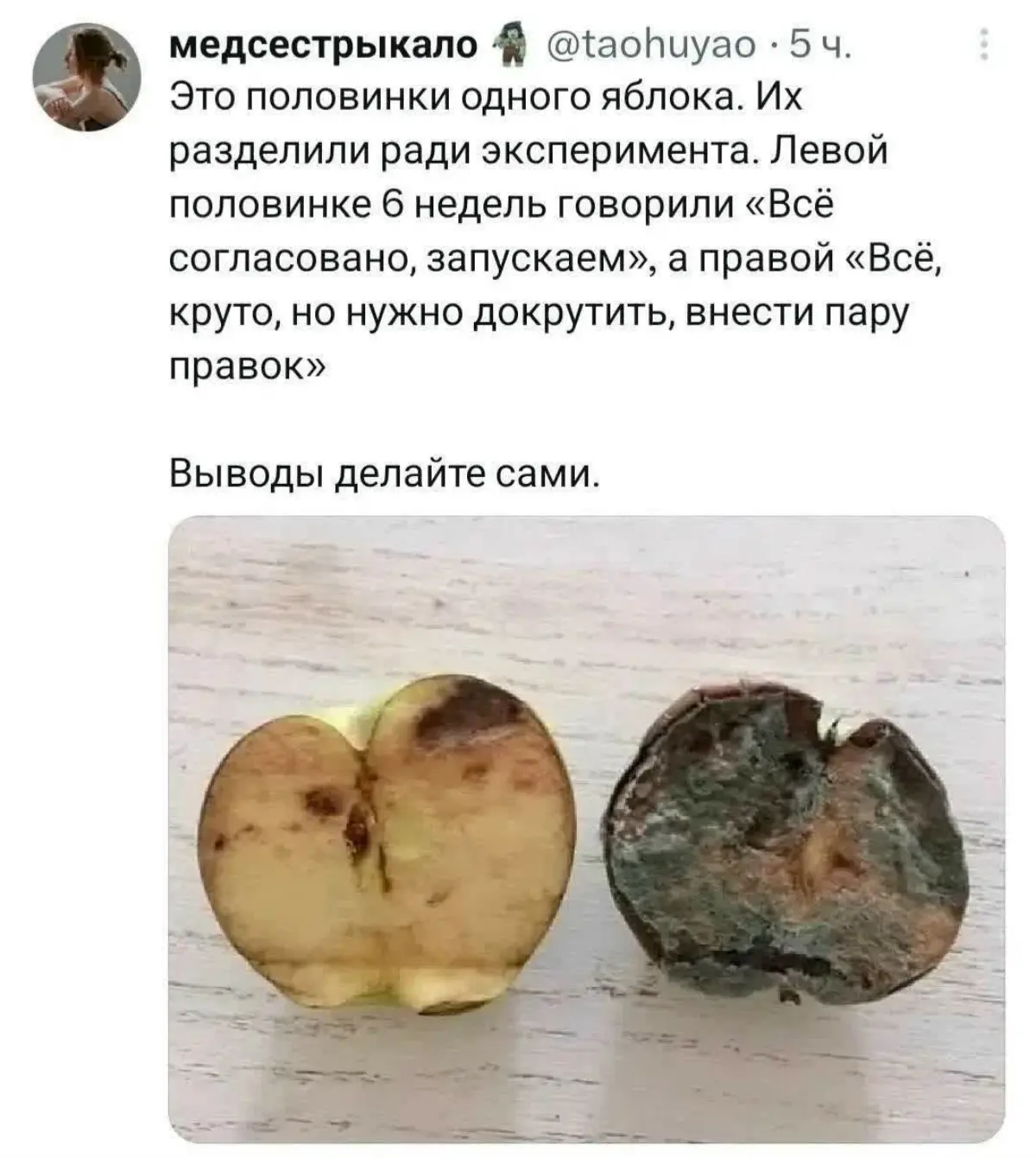 Боль творческих профессий 🥹 | Сетка — социальная сеть от hh.ru
