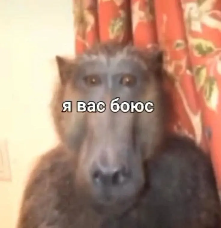 тупо я на собеседовании | Сетка — социальная сеть от hh.ru
