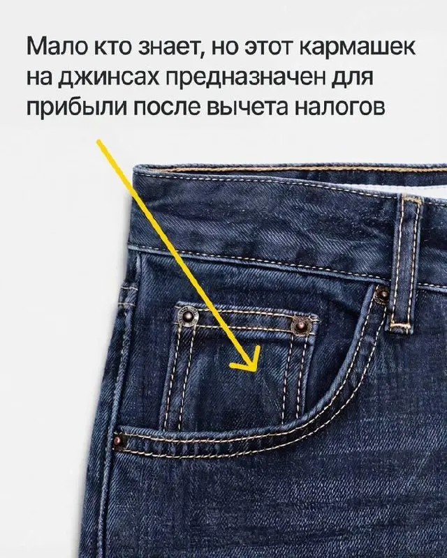 Большинство людей проживёт всю жизнь, так и не узнав, для чего нужен этот кармашек.
Предприниматели знают.
Просто пока нечего положить.
С понедельником, коллеги. | Сетка — социальная сеть от hh.ru