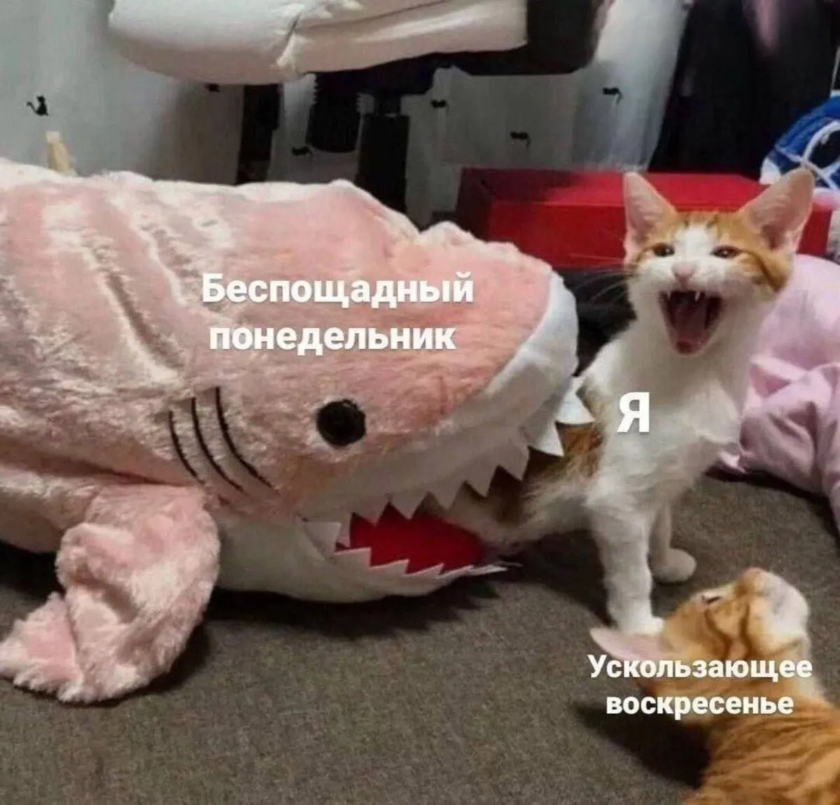 Беспощадные понедельники😄 | Сетка — социальная сеть от hh.ru