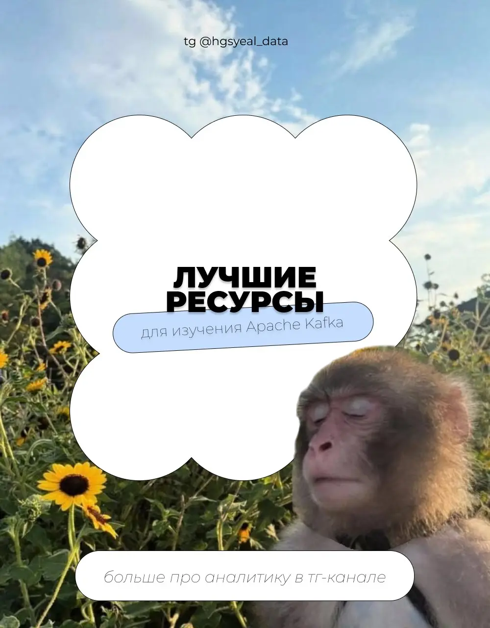 Бесплатные ресурсы для изучения Apache Kafka | Сетка — социальная сеть от hh.ru