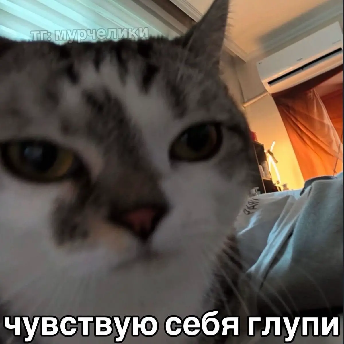 Подзабил немного на отклики.. и на это было куча веских причин.
Причина первая. Вчера было воскресенье и воскресенье само себя не отдохнет.
А причина вторая - я все ещё планирую свое портрфолио | Сетка — социальная сеть от hh.ru