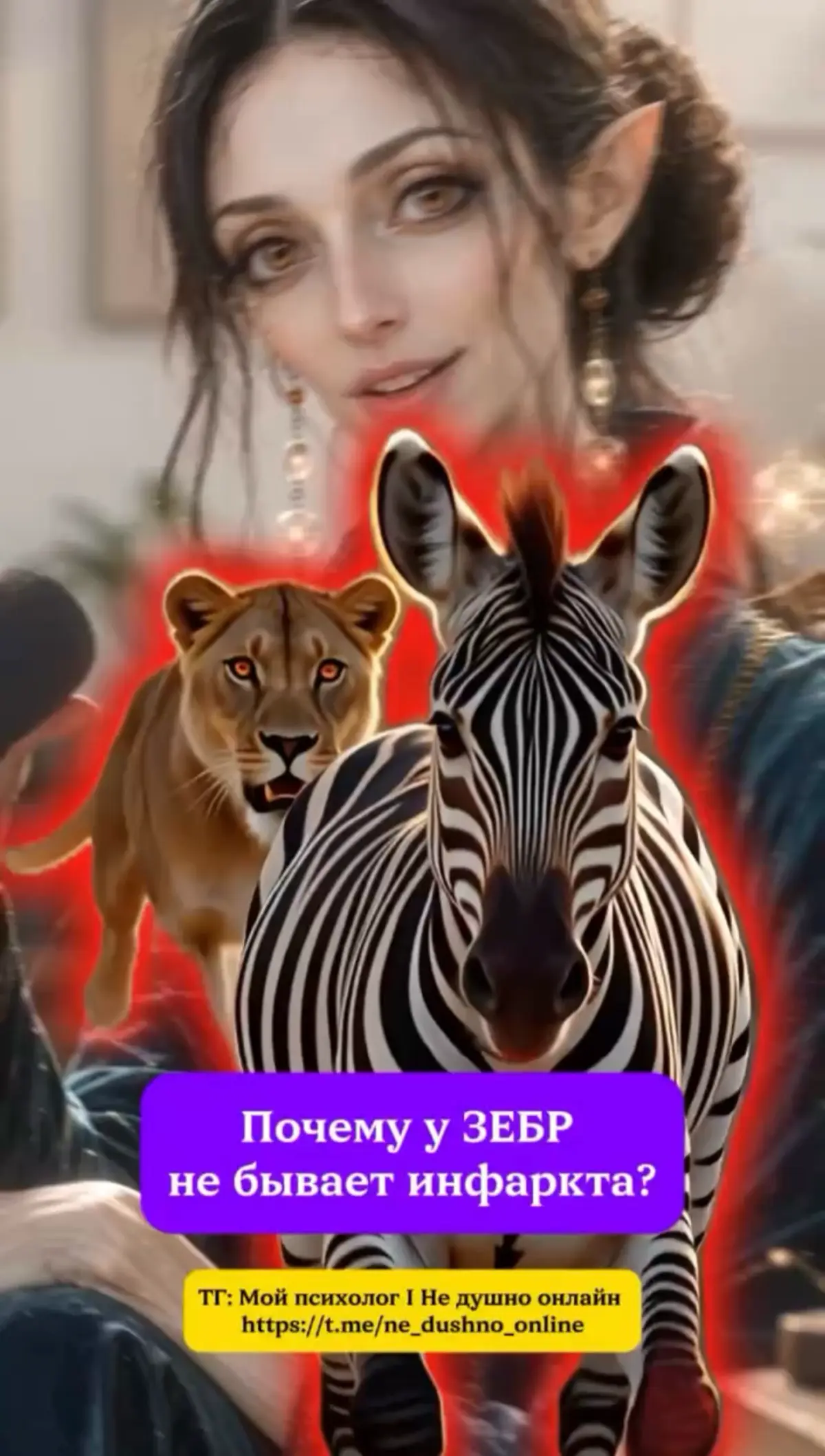 🦓Почему у зебр не бывает инфаркта? | Сетка — социальная сеть от hh.ru