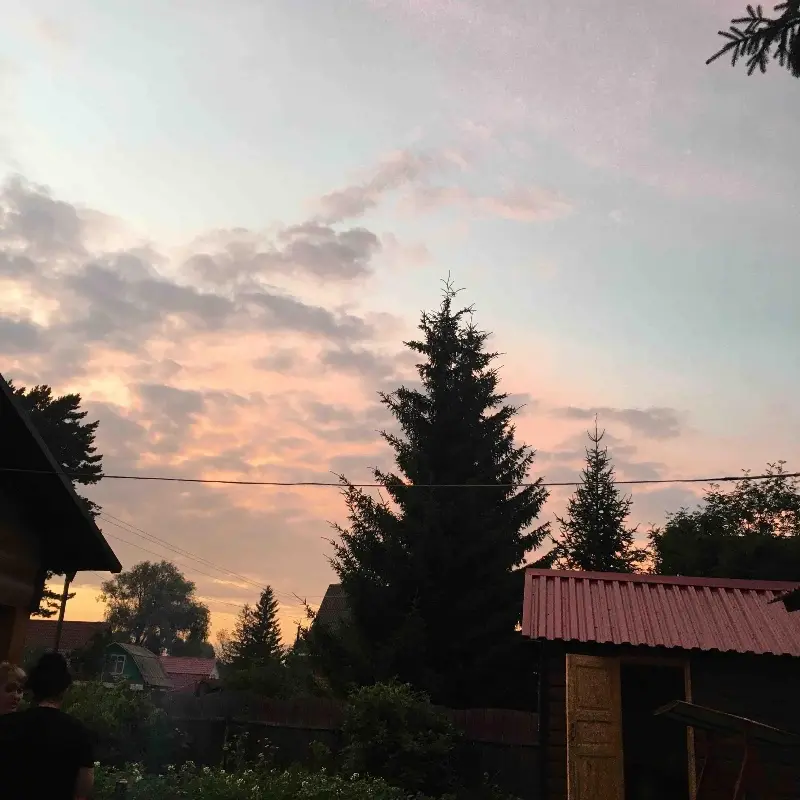 Тома Панкова