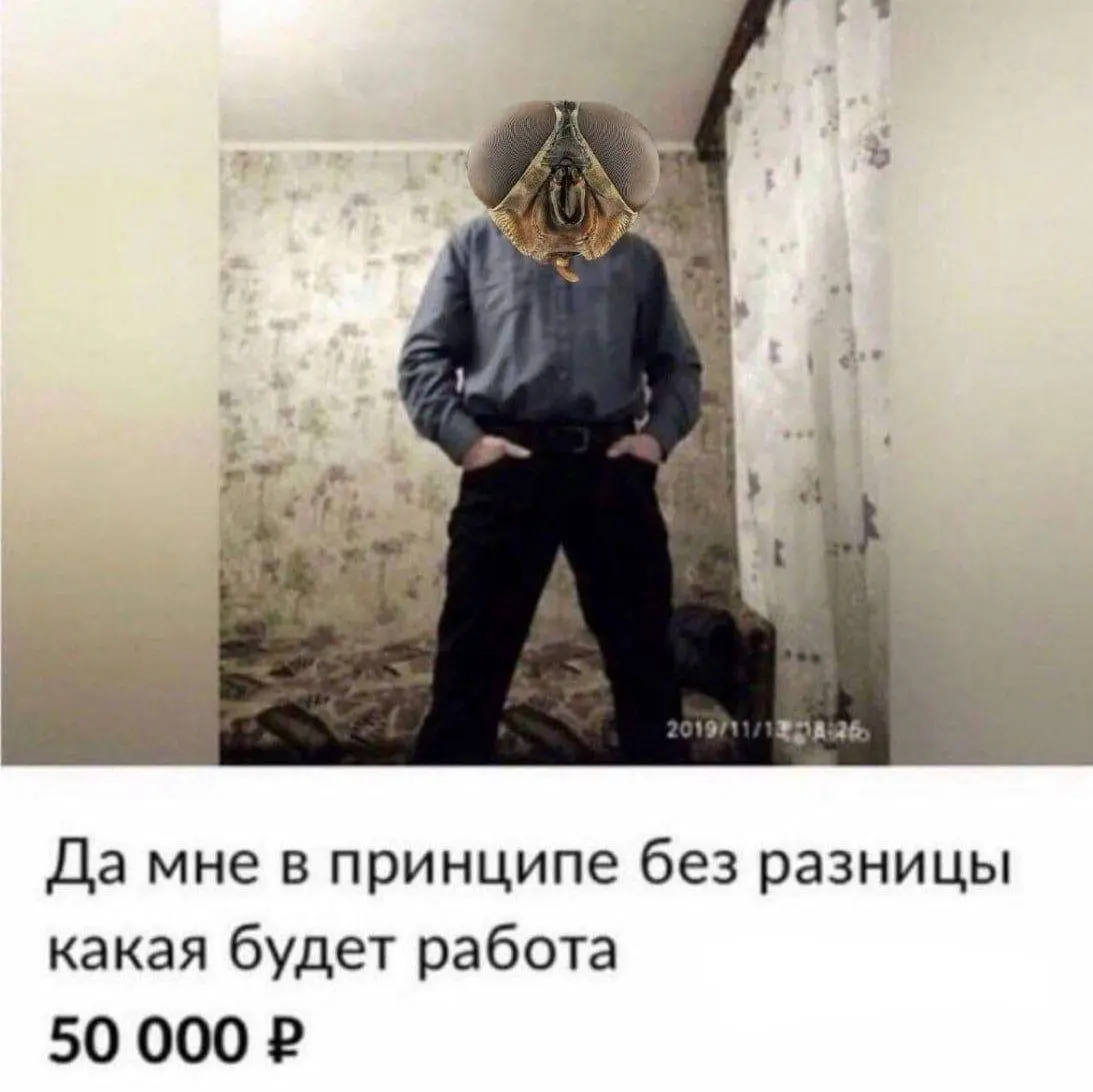 Не ну а че | Сетка — социальная сеть от hh.ru
