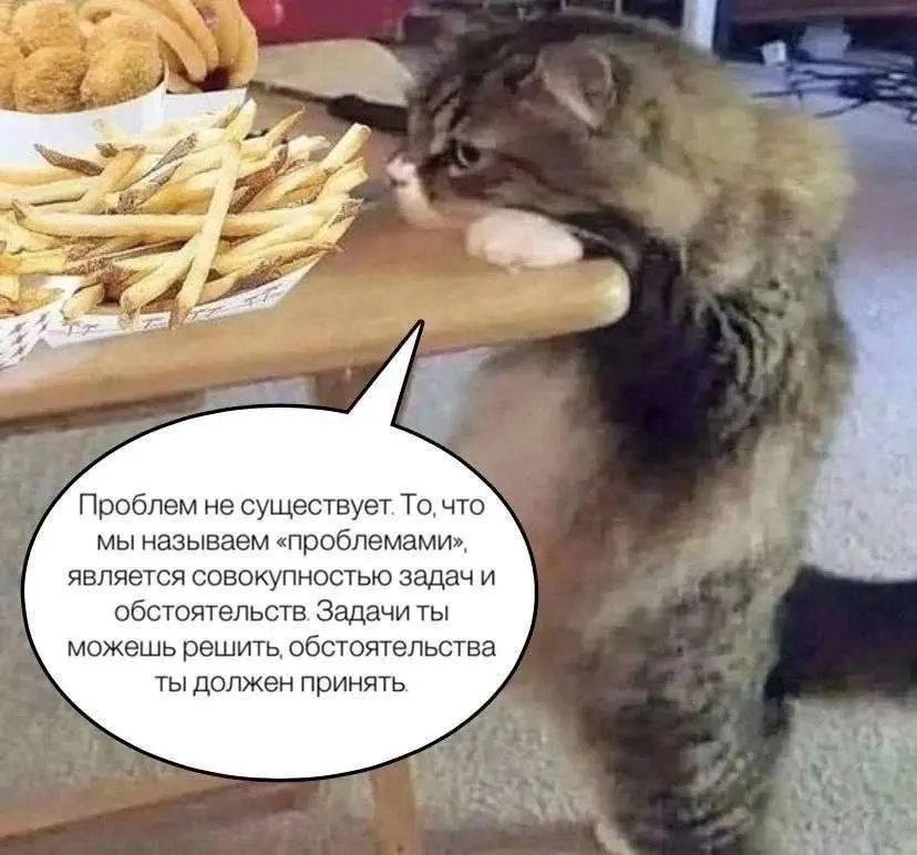 Немного мотивации прекрасным осенним днём | Сетка — социальная сеть от hh.ru