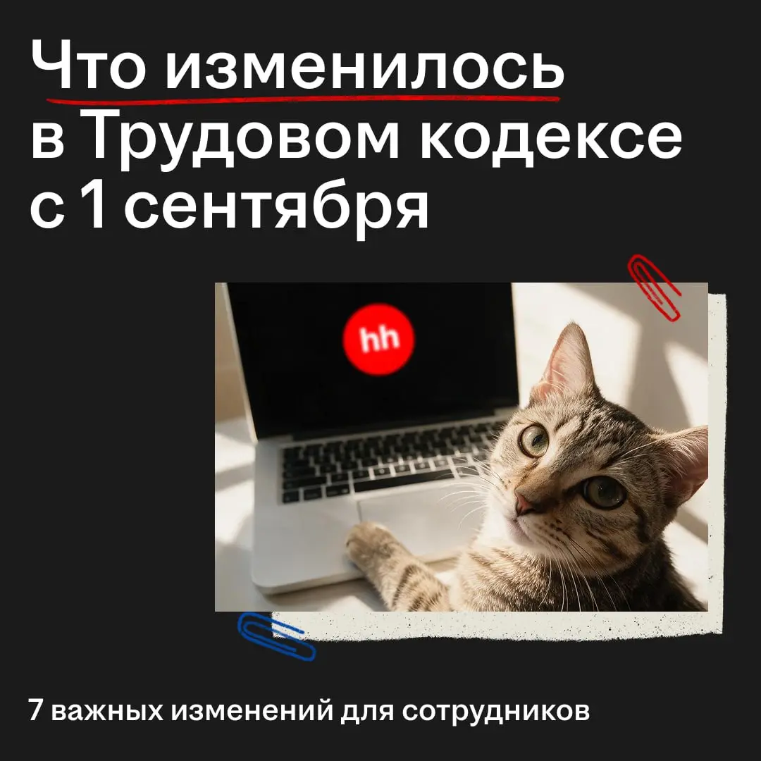 Что изменилось для сотрудников
с 1 сентября? ✍🏻
В Трудовом кодексе появились изменения, о которых лучше знать заранее | Сетка — социальная сеть от hh.ru