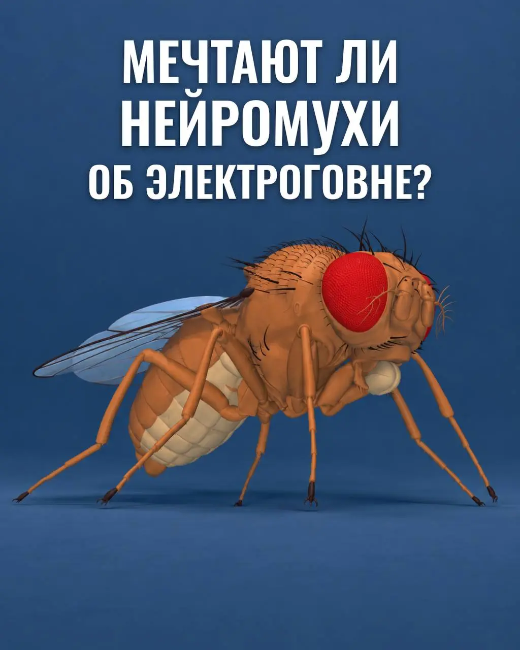 Этот мемчик собрал 150к просмотров в Инсте. Посмотрите и вы тоже — видимо годно получилось!
Да, я седня весь день по горам шкерился, мне лень посты писать, сорян | Сетка — социальная сеть от hh.ru