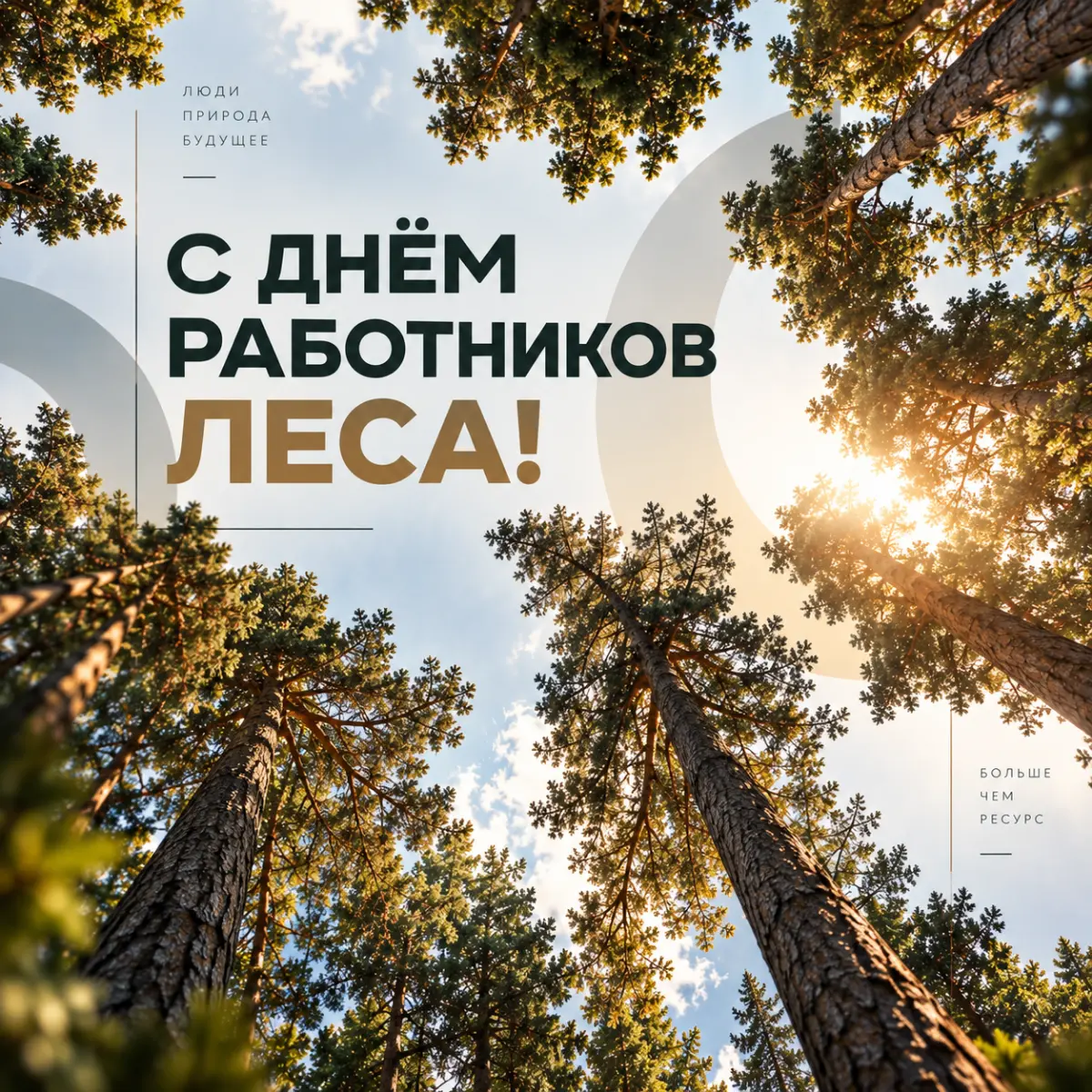День работников леса🌲 | Сетка — социальная сеть от hh.ru
