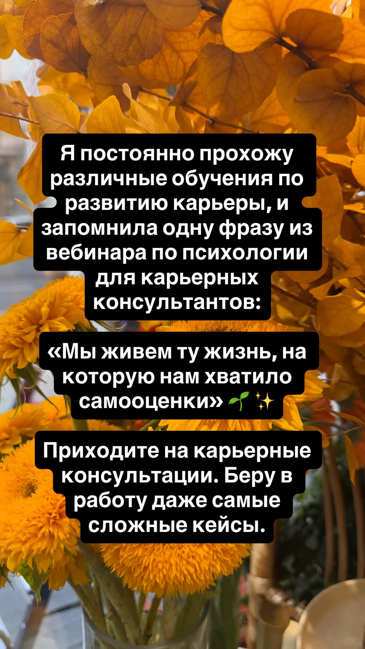 Мы живем ту жизнь, на которую нам хватило самооценки 😎 | Сетка — социальная сеть от hh.ru