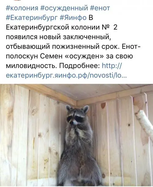 Татьяна Карпенко