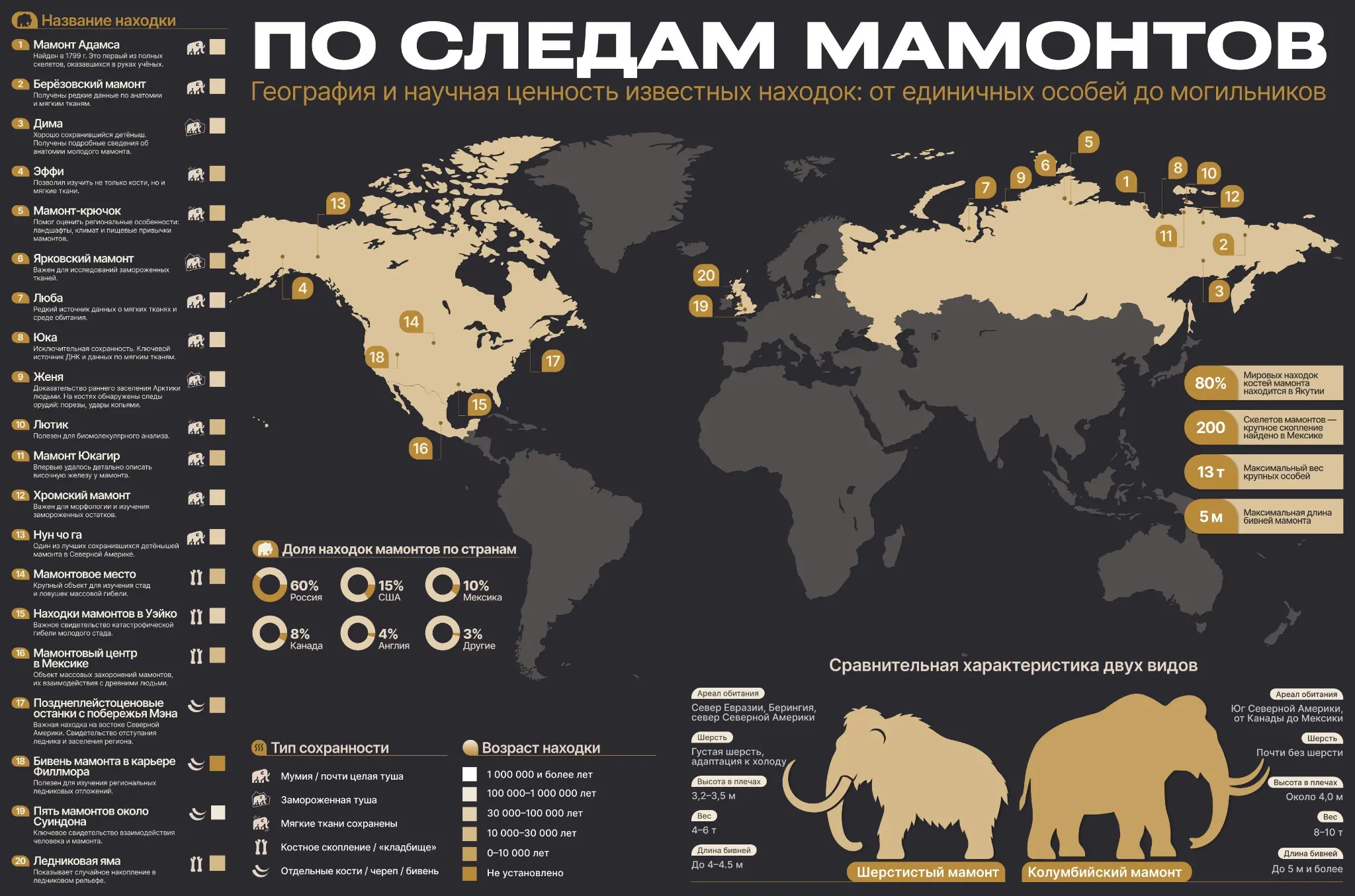 Инфографика: кейс про мамонтов | Сетка — социальная сеть от hh.ru